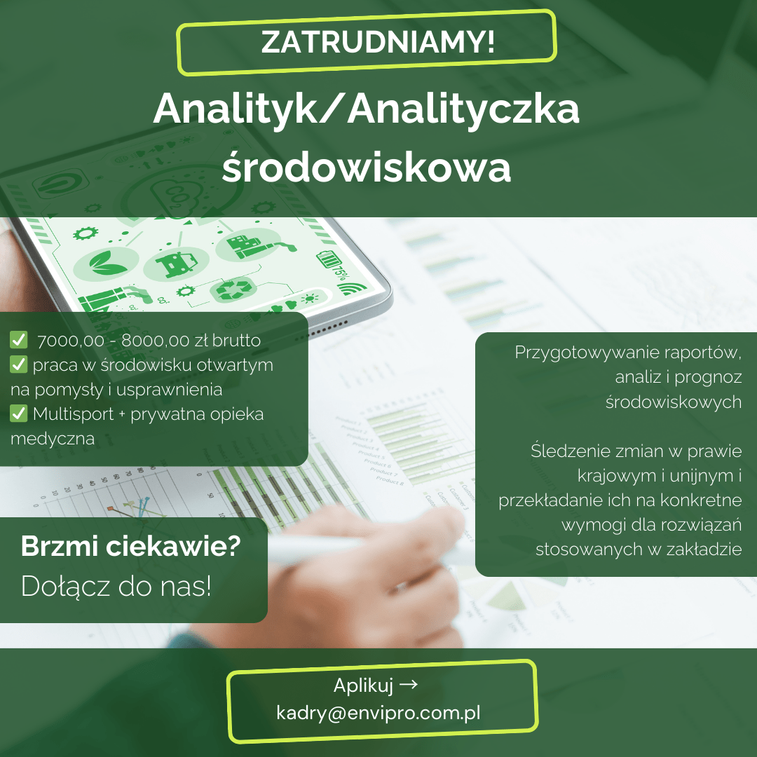 oferta pracy analityk